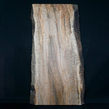 一枚板　アンブロシアメイプル６