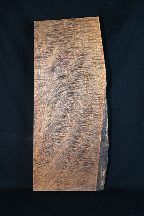 キハダ材　１１