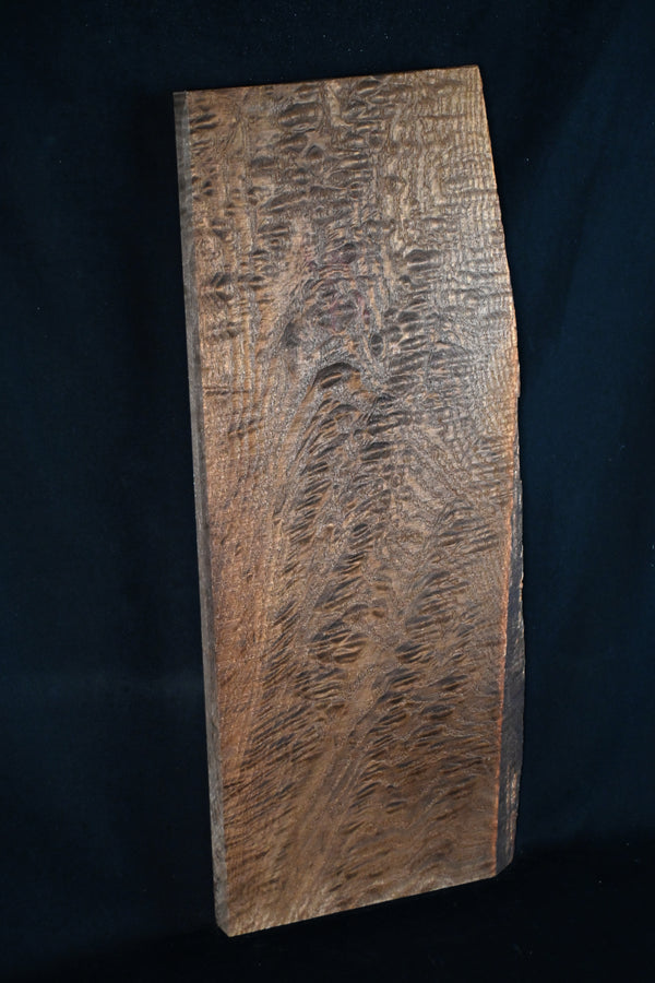 キハダ材　１１