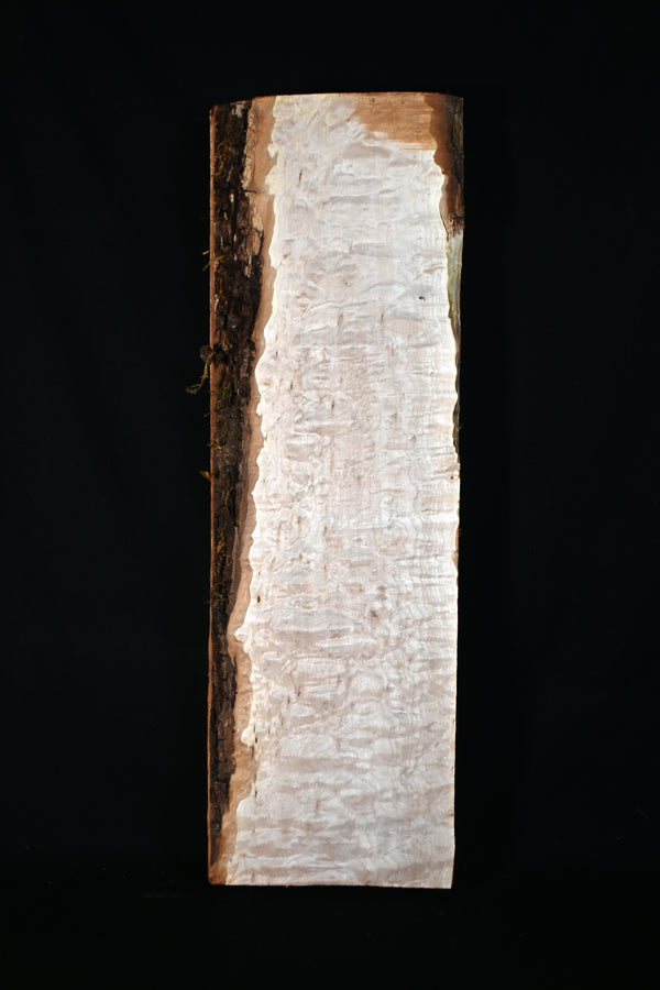 キルトメイプル材　５