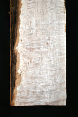 キルトメイプル材　５