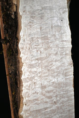 キルトメイプル材　５