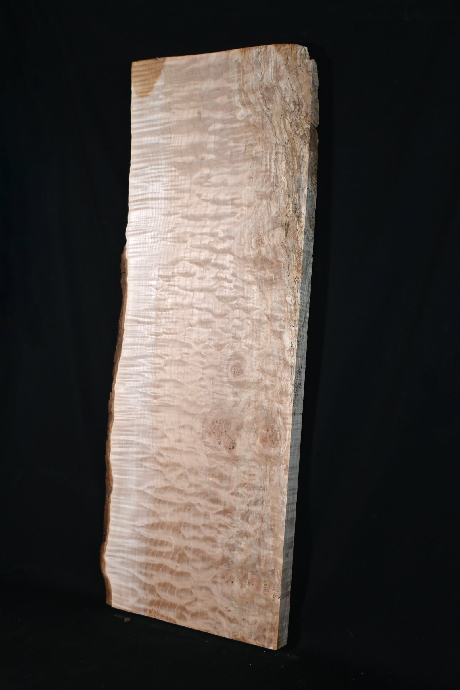 銘木ペントレー　キルテッドメープル　極上　特大極厚サイズ キルトメイプル材 7 – DEEP WOOD