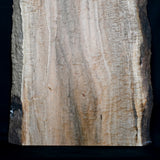 一枚板　アンブロシアメイプル６