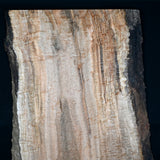 一枚板　アンブロシアメイプル６