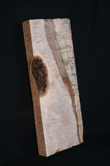 スポルテッドメイプル材　１０