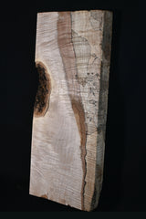 スポルテッドメイプル材　１０