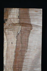 スポルテッドメイプル材　１０