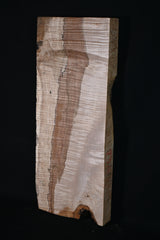 スポルテッドメイプル材　１０