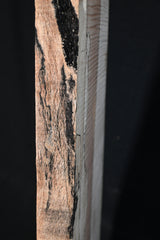 スポルテッドメイプル材　１１　SOLDOUT