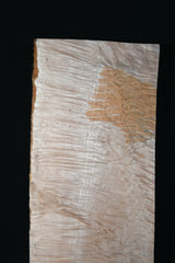 スポルテッドメイプル材　１３　SOLDOUT