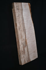 スポルテッドメイプル材　１６