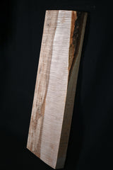 スポルテッドメイプル材　１６