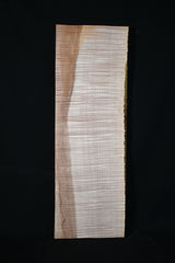 スポルテッドメイプル材　１７