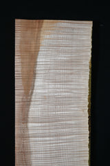 スポルテッドメイプル材　１７