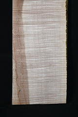 スポルテッドメイプル材　１７