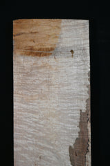 スポルテッドメイプル材　１８