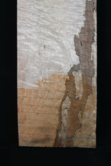 スポルテッドメイプル材　１８