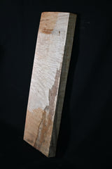 スポルテッドメイプル材　１８