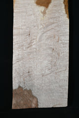 スポルテッドメイプル材　１８