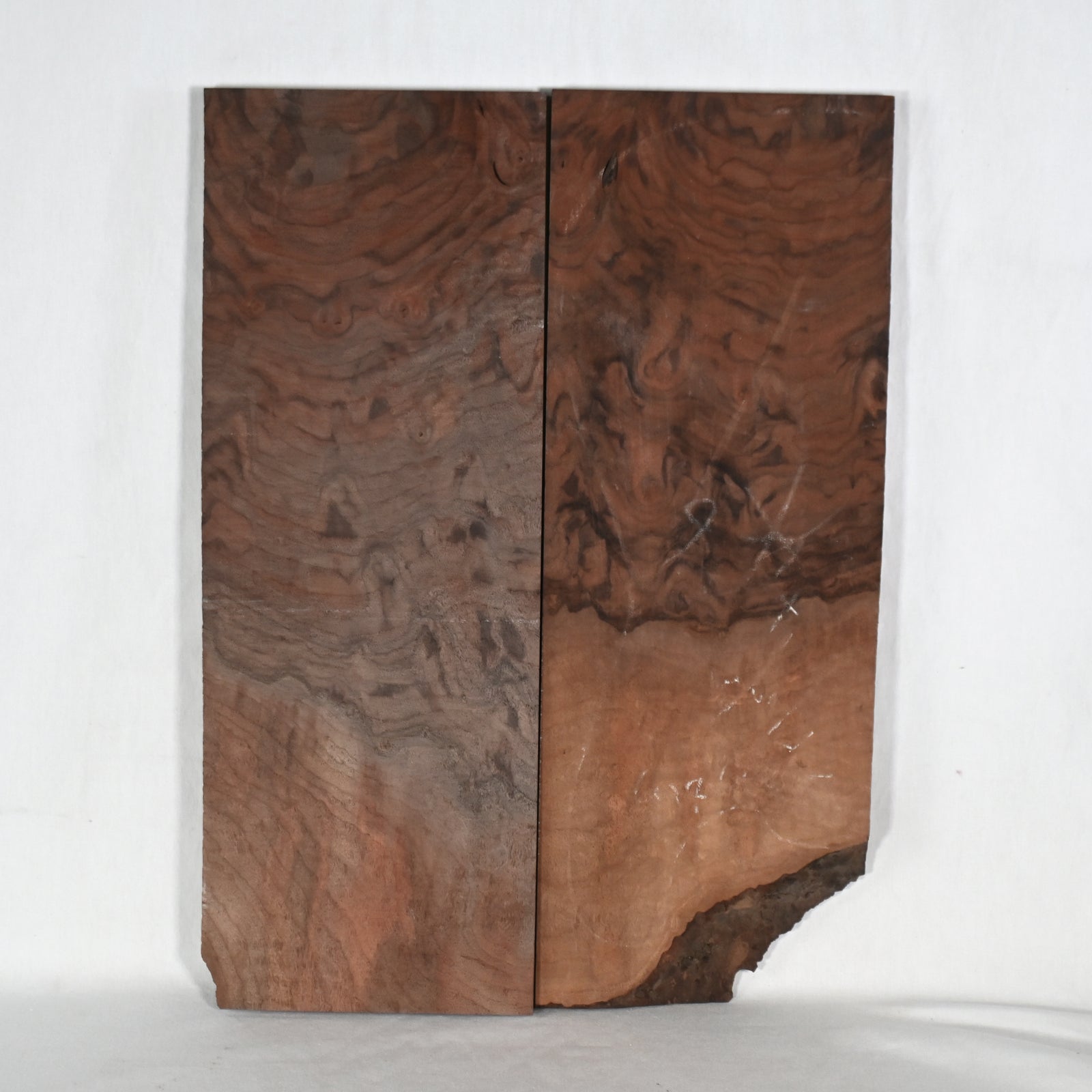 DSC_2931_1a71ea86-3c16-4463-