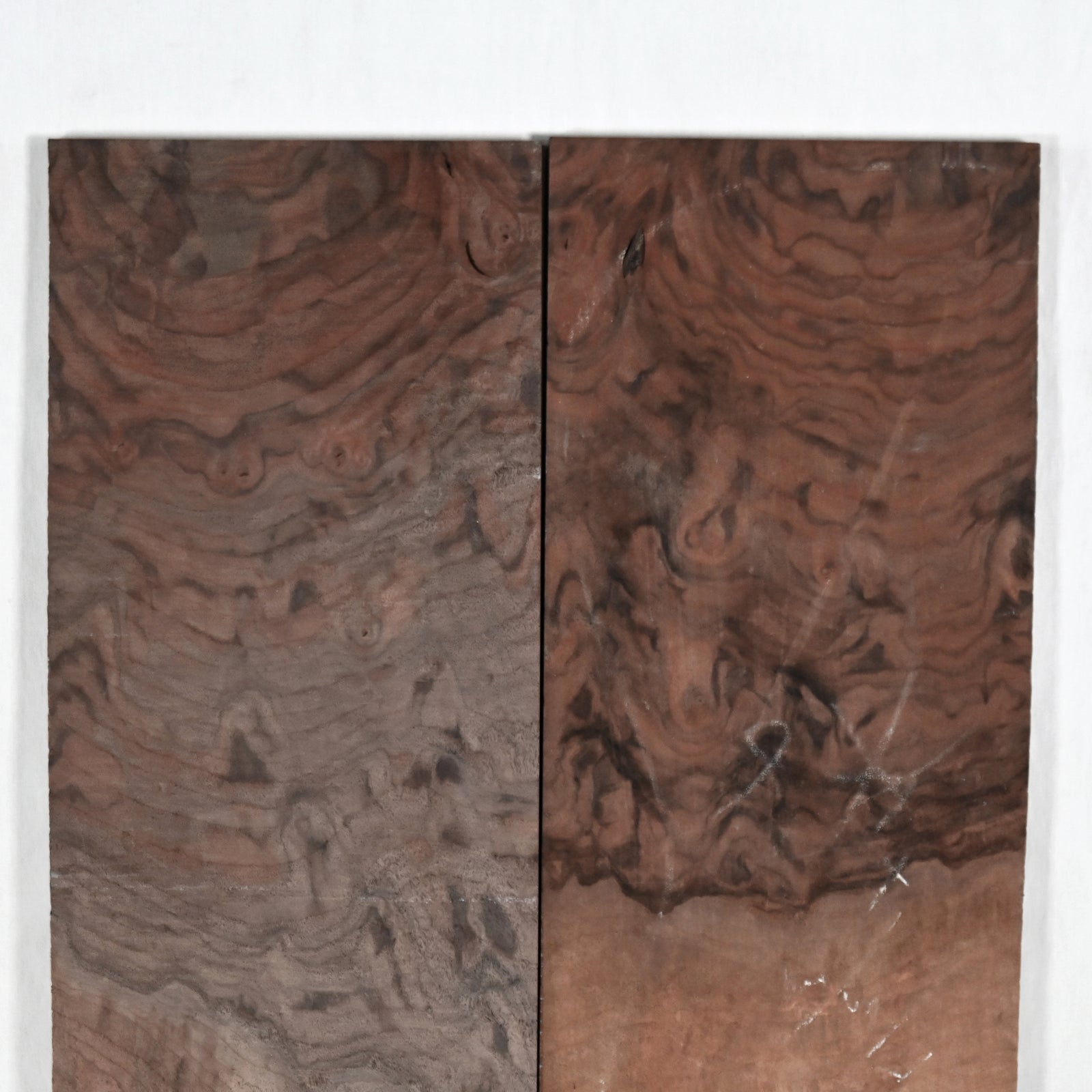 Olasonic ウォルナット DSC_2933_72206497-d5f5-4148-