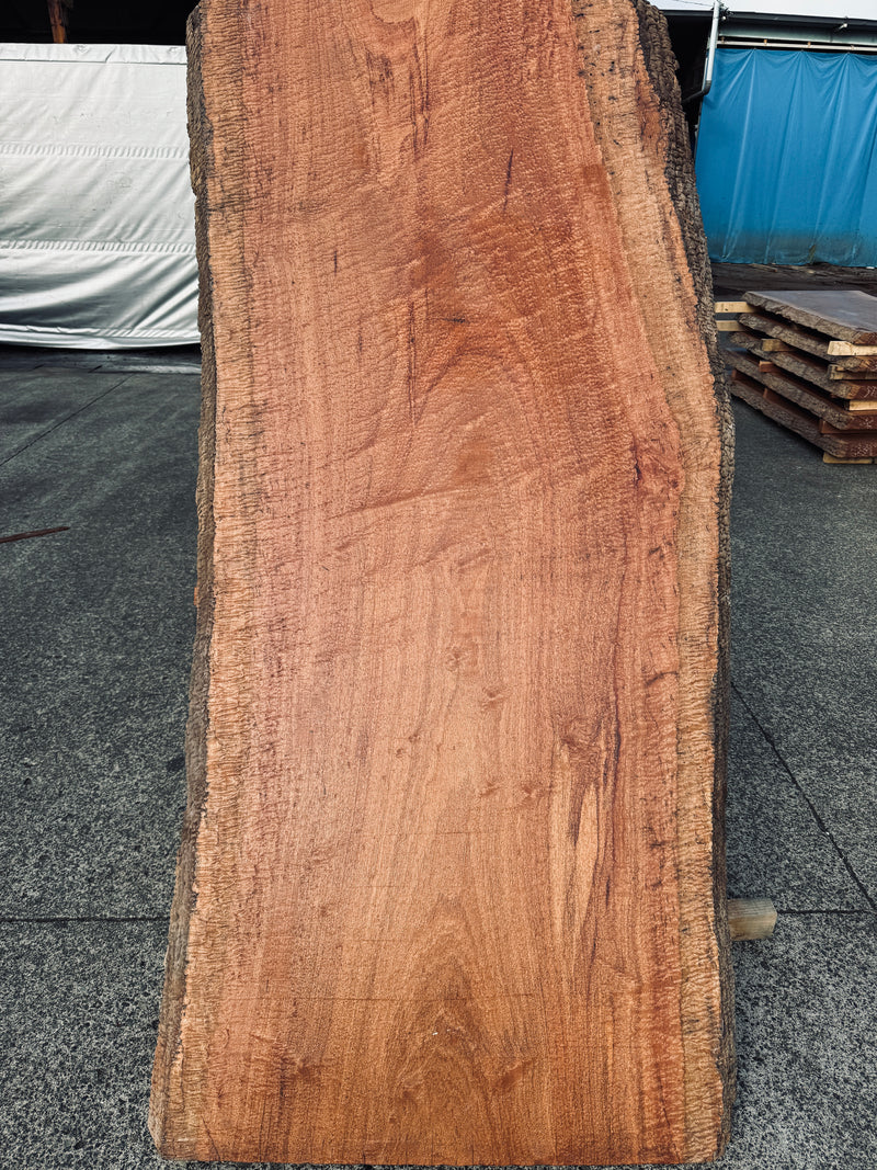 サペリ材　40　SOLDOUT