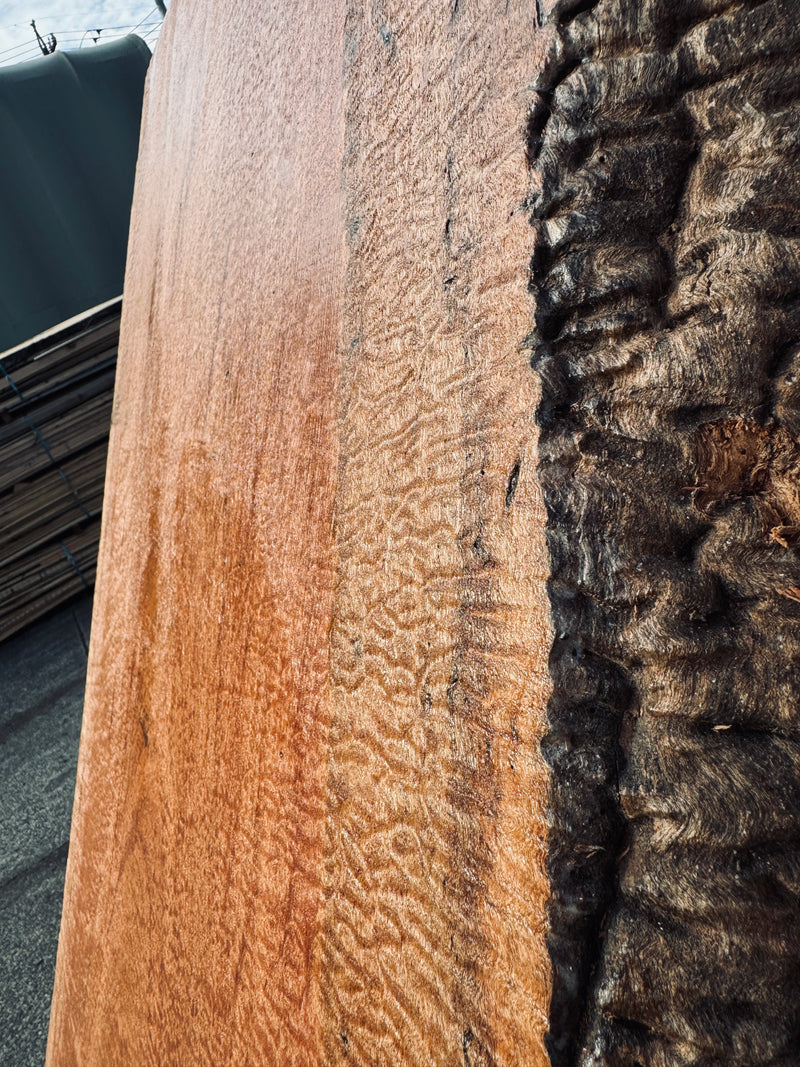 サペリ材　40　SOLDOUT