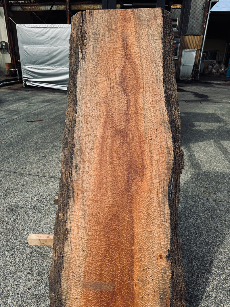 サペリ材　26　SOLDOUT