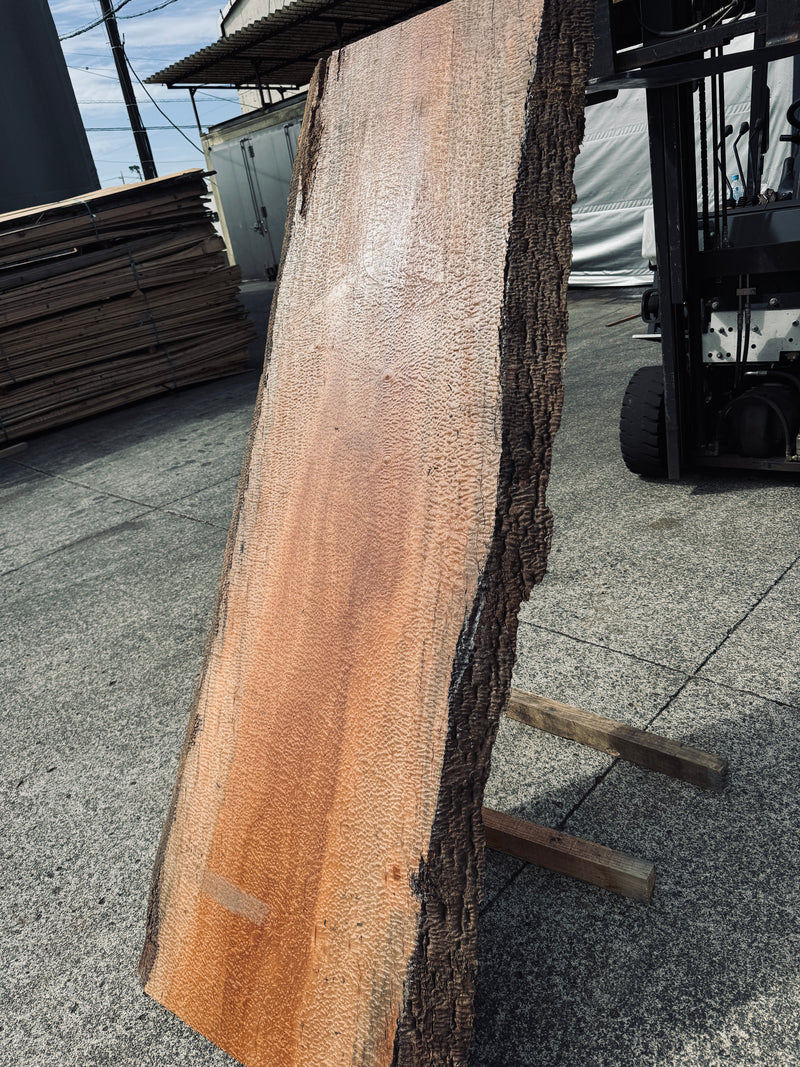 サペリ材　26　SOLDOUT