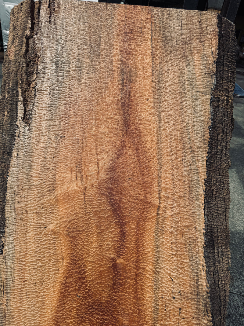 サペリ材　26　SOLDOUT