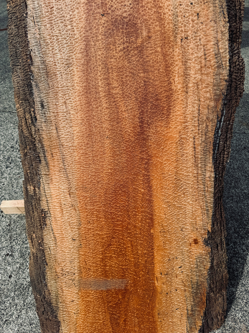 サペリ材　26　SOLDOUT