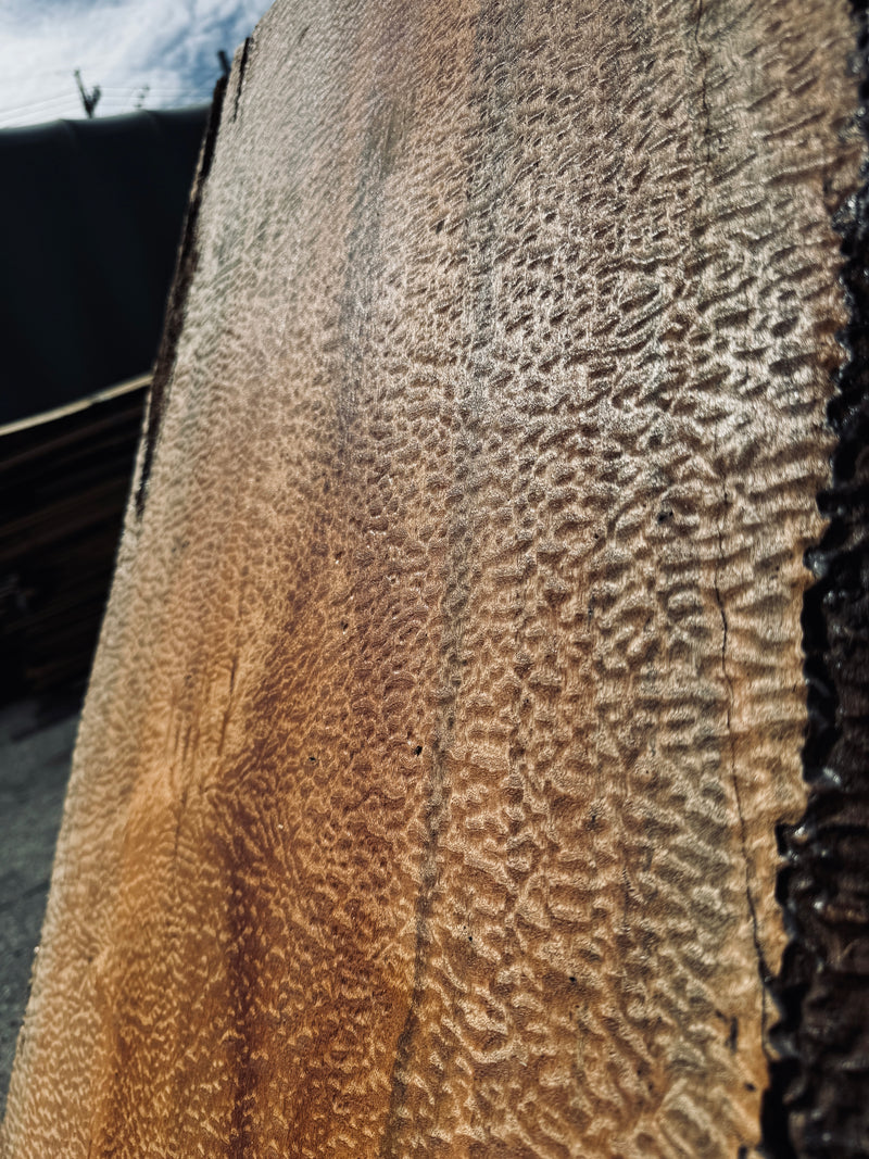 サペリ材　26　SOLDOUT