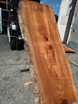 サペリ材　10　SOLDOUT