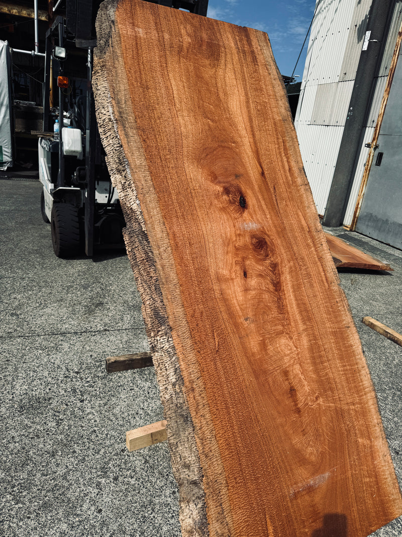 サペリ材　10　SOLDOUT