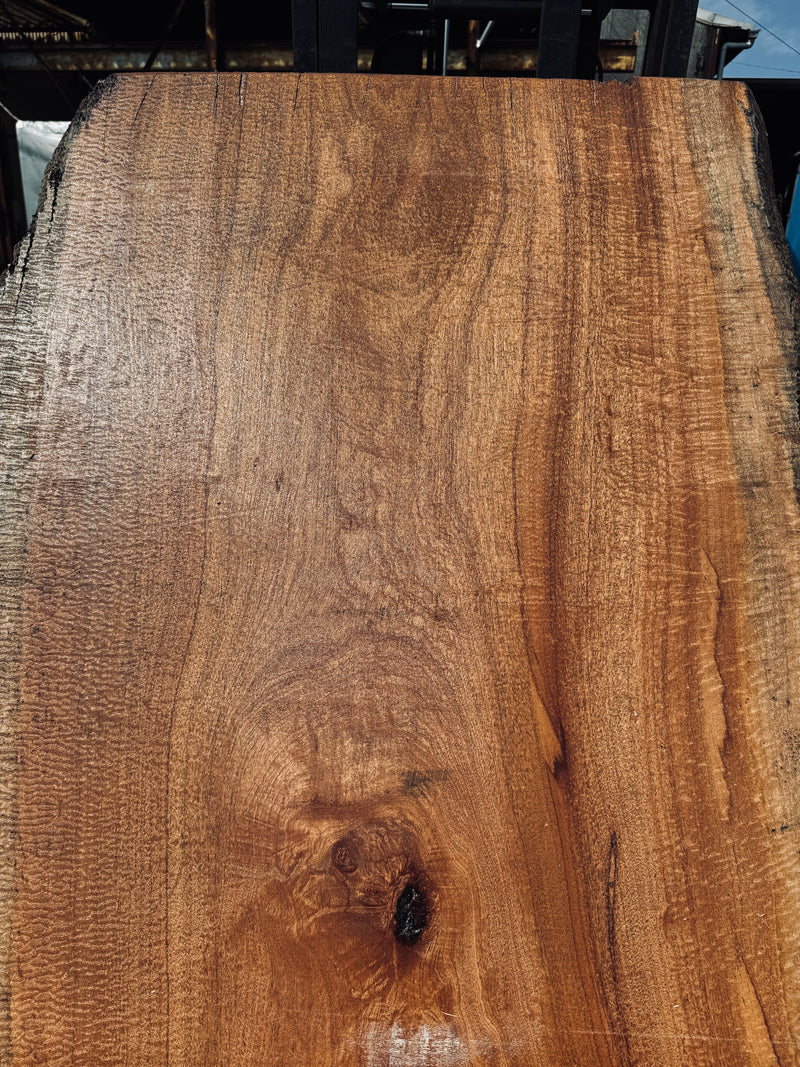 サペリ材　10　SOLDOUT