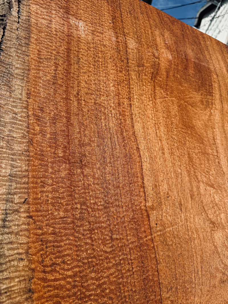 サペリ材　10　SOLDOUT