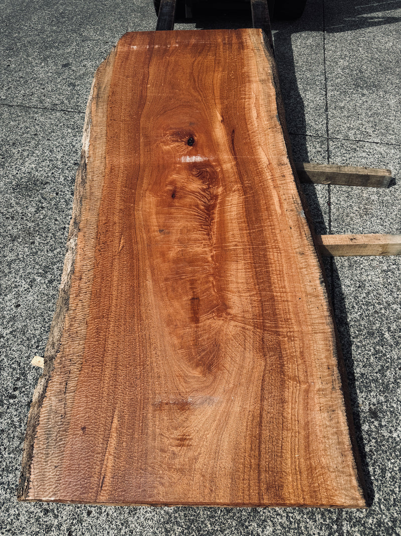 サペリ材　10　SOLDOUT