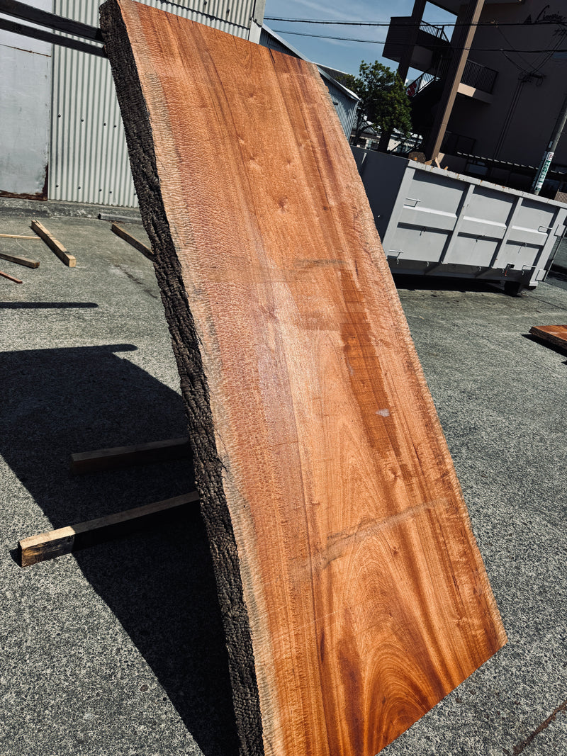 サペリ材　21　SOLDOUT