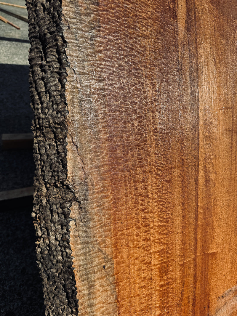 サペリ材　21　SOLDOUT