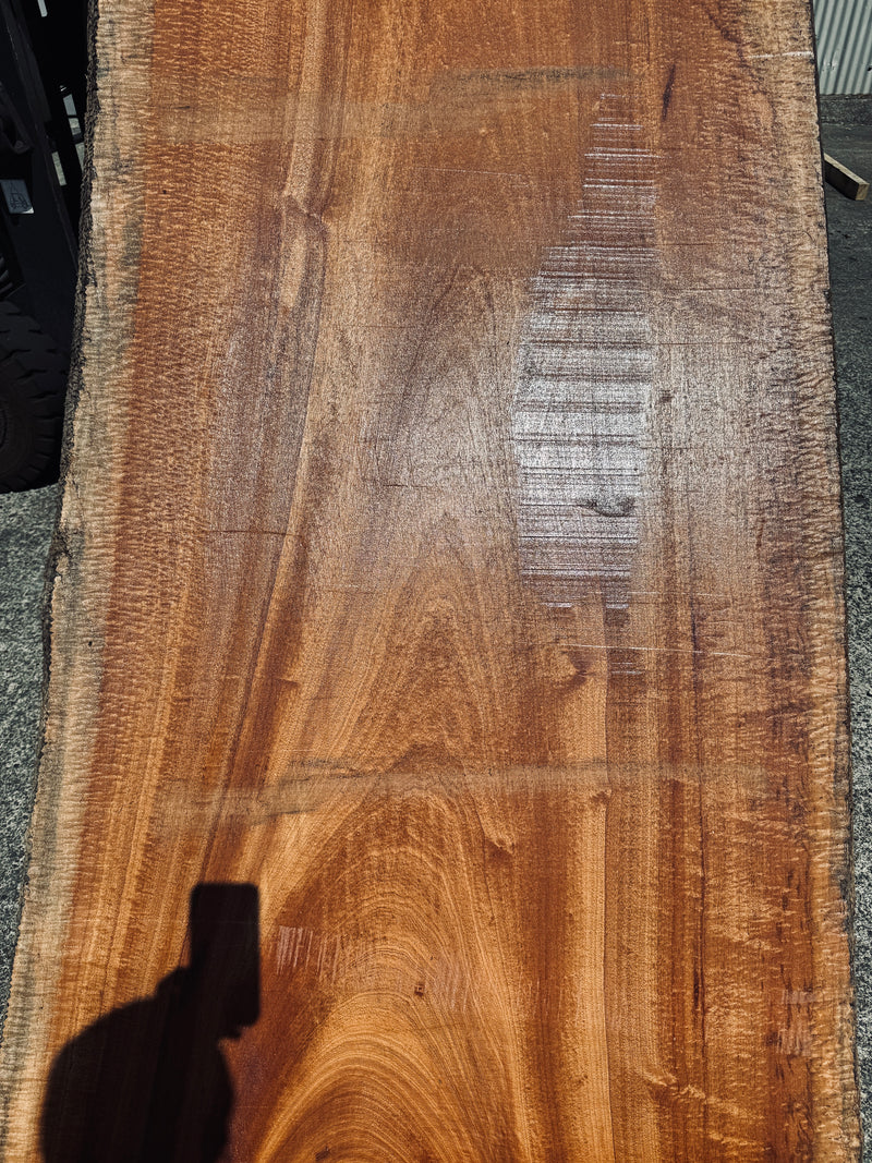 サペリ材　21　SOLDOUT