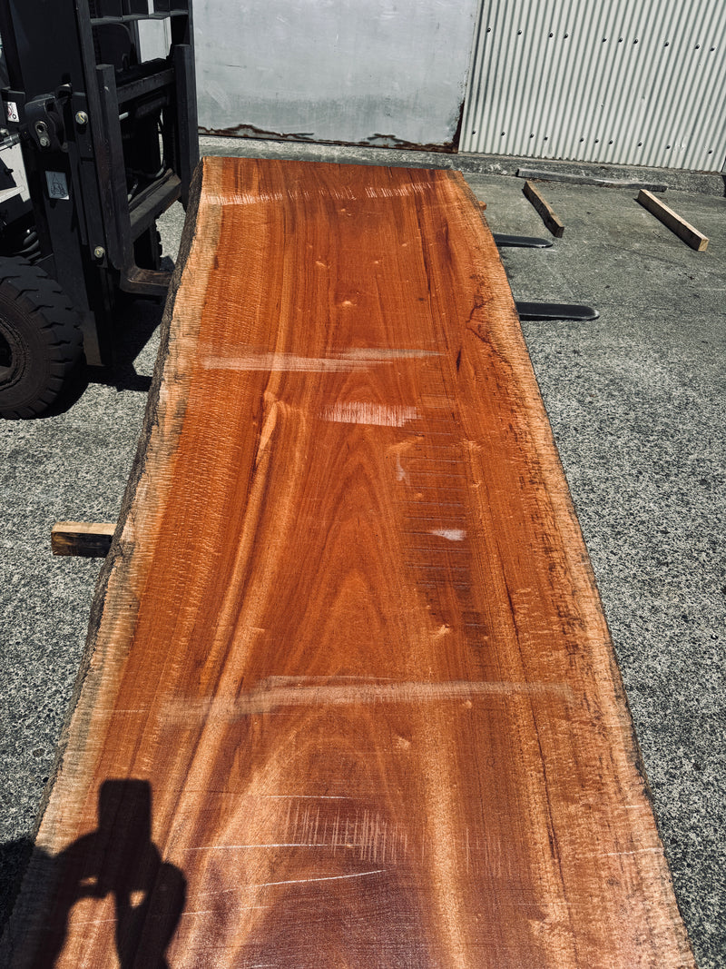 サペリ材　21　SOLDOUT