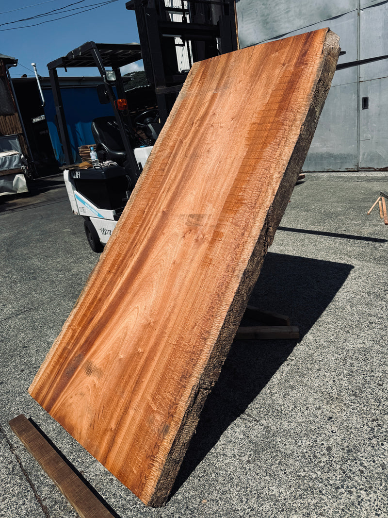 サペリ材　22　SOLDOUT