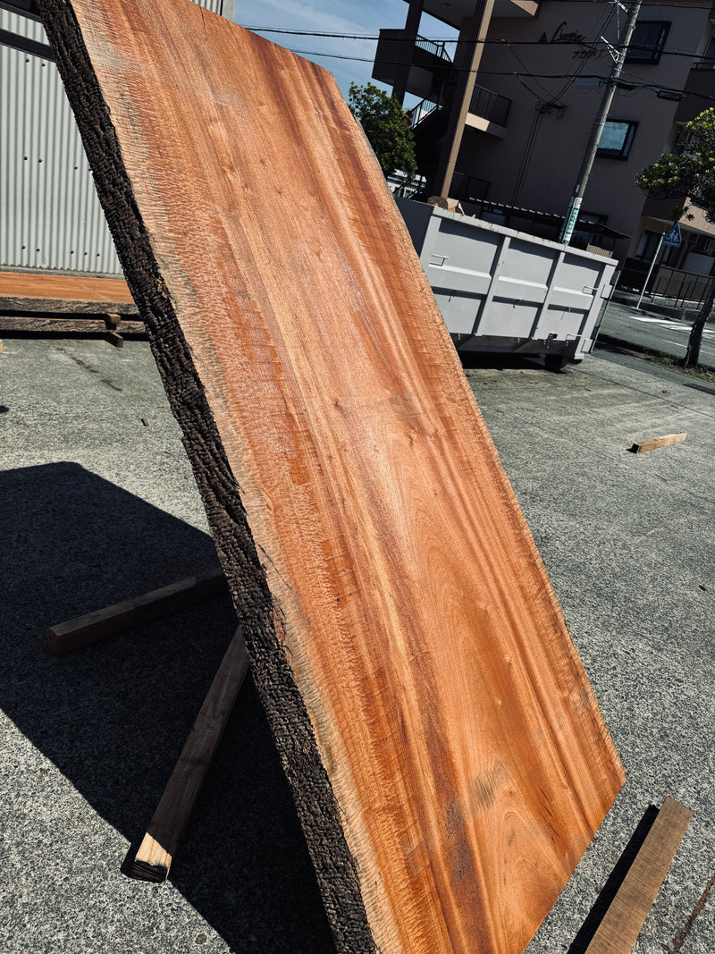 サペリ材　22　SOLDOUT