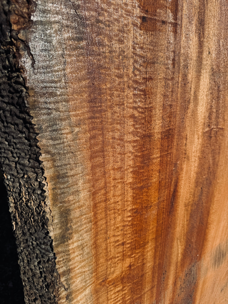 サペリ材　22　SOLDOUT