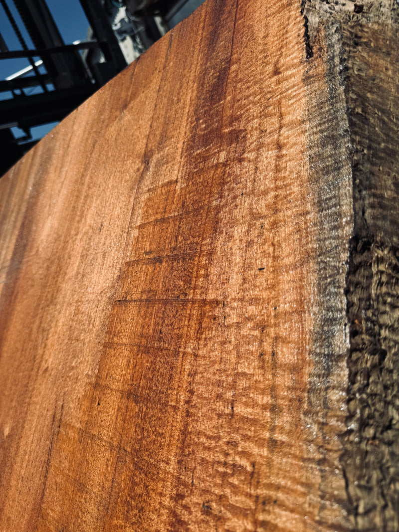 サペリ材　22　SOLDOUT