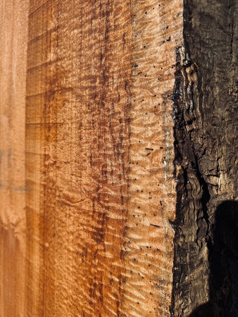 サペリ材　22　SOLDOUT